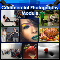 (4) Commercial Photography Module